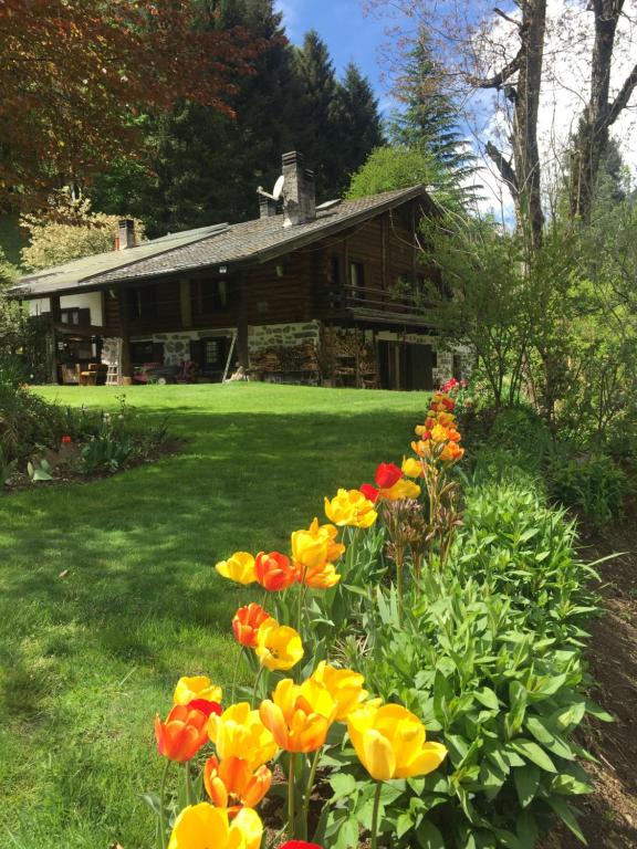 Zahrada ubytování B&B Villa Plaz