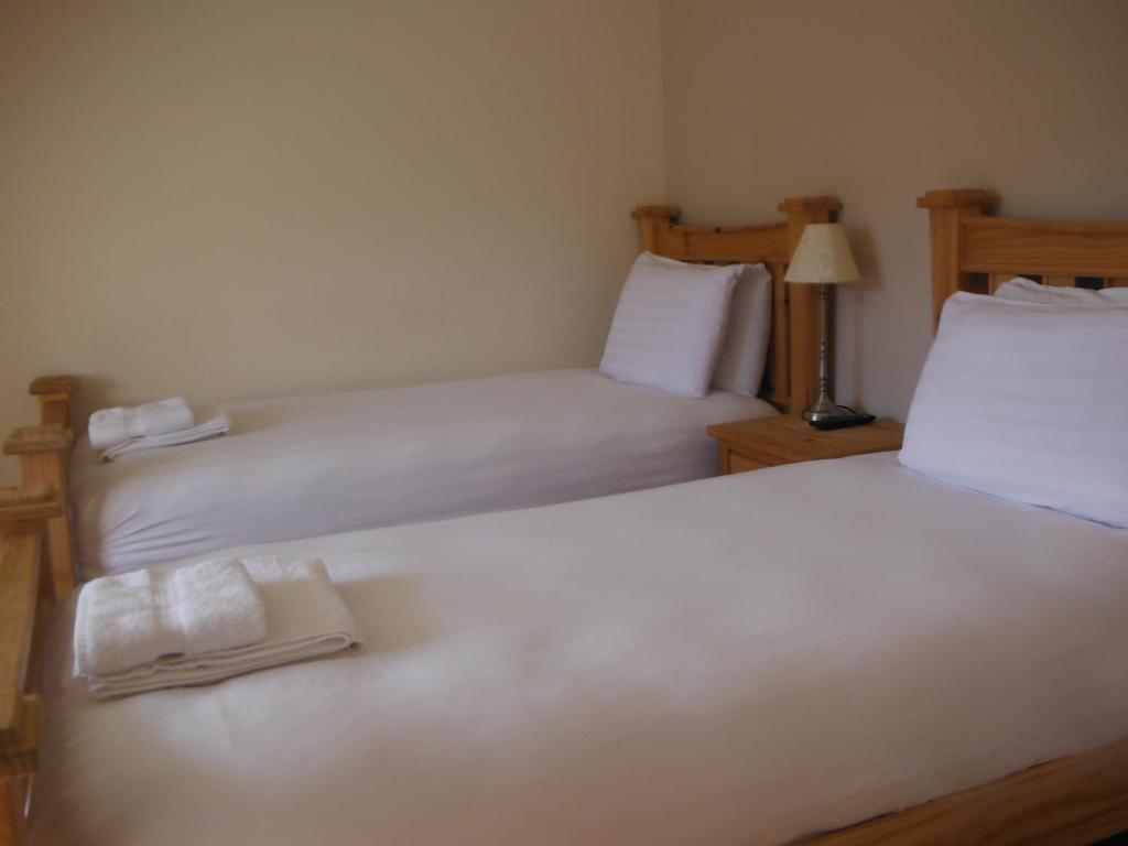 two twin beds in a room with a lamp at Inspiration Lodge in Anascaul