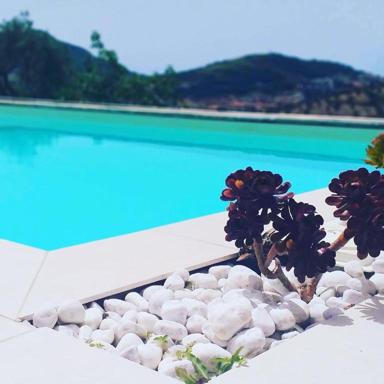 un grupo de flores sentado en la parte superior de una piscina en Stella Marina Agropoli, en Agropoli