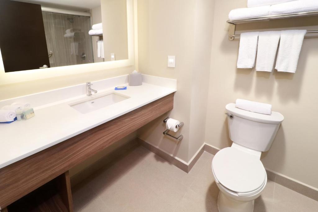 Holiday Inn Express Guadalajara Aeropuerto, an IHG Hotel - Standard King Room