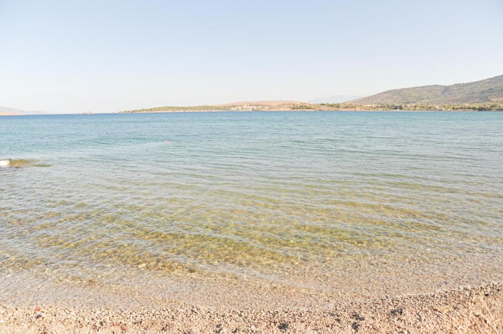 Táj Show holiday homes közelében