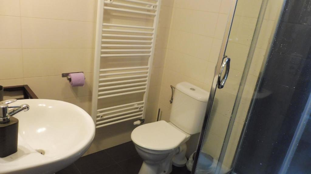 Koupelna v ubytování Apartmán Bára