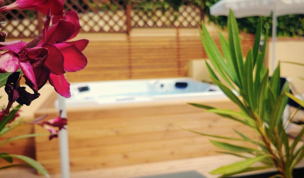 Tiziana Bed Breakfast 3*