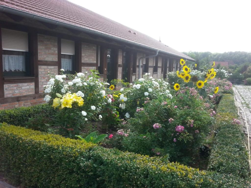 a garden of flowers in front of a house at Ferienhof am Nationalpark in Schöneberg