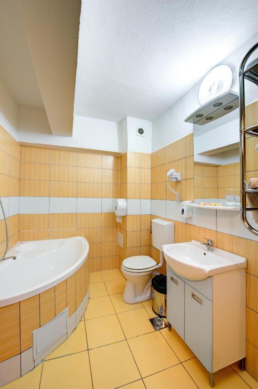 Hotel Cornul Vanatorului - Resim 44