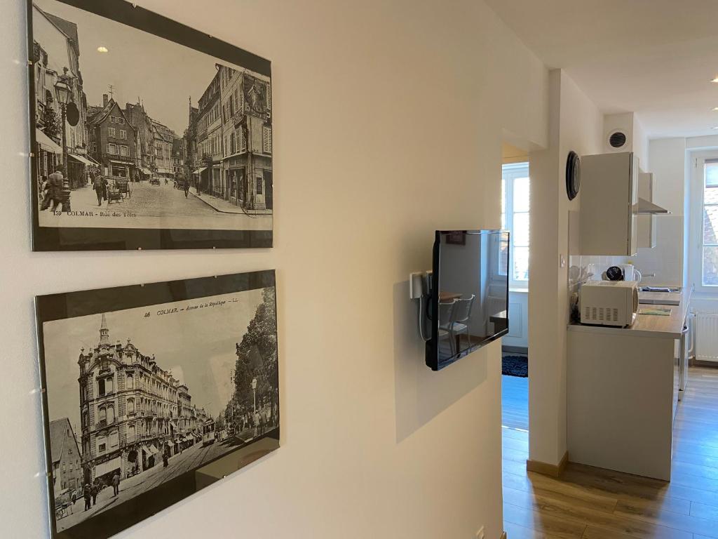 L'Ours de Colmar - Appartements en centre ville – photo 36