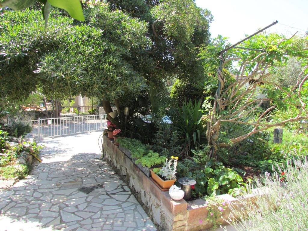 Zahrada ubytování Apartments Bura & Jugo, Cres, without stress