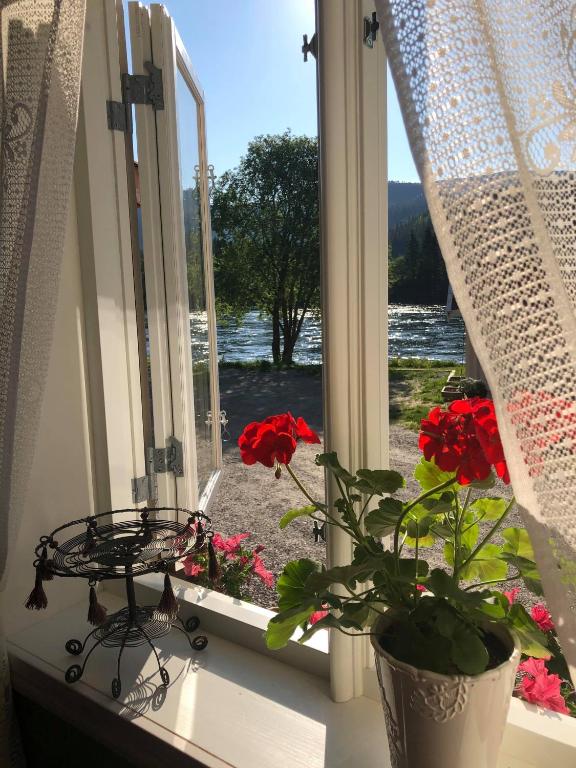 Ein Fenster mit roten Blumen und eine Pflanze auf der Fensterbank in der Unterkunft Bakarstuo, Utpå Neset in Trofors