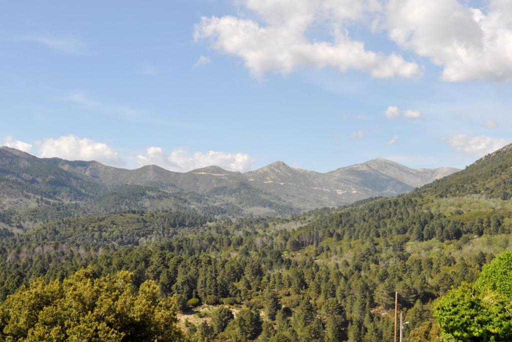 vistas a un valle con montañas en el fondo en Chambres d'Hôtes Villa Cardellini, en Aullène