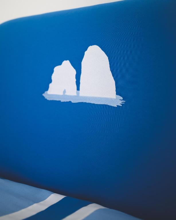 two icebergs in the water in the ocean at Parco Augusto in Capri
