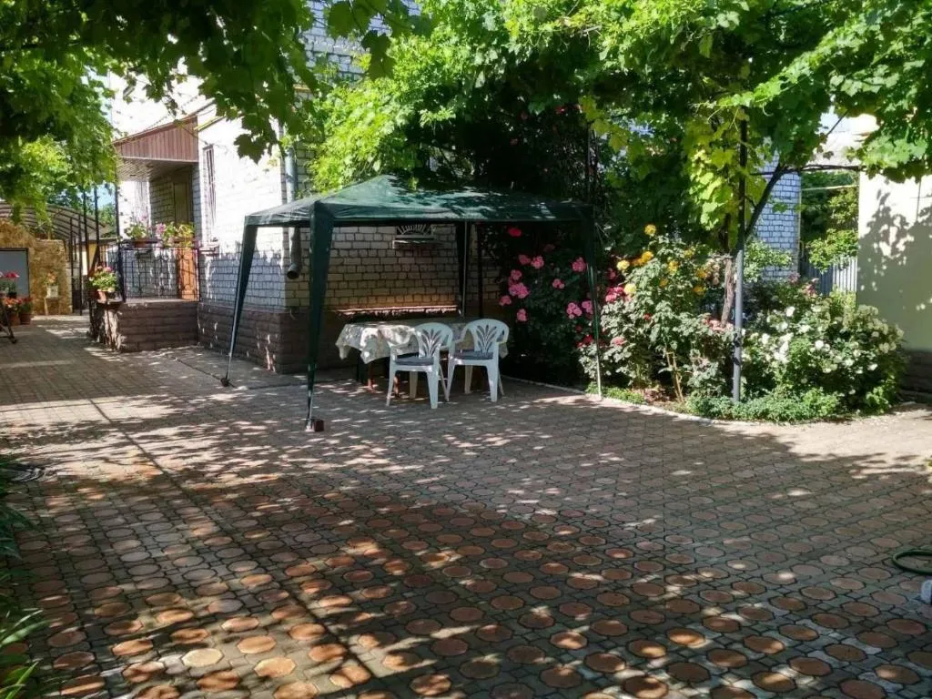 Дом у моря (10 мин пешком) Одесса(Черноморка), Odesa, Ucraina