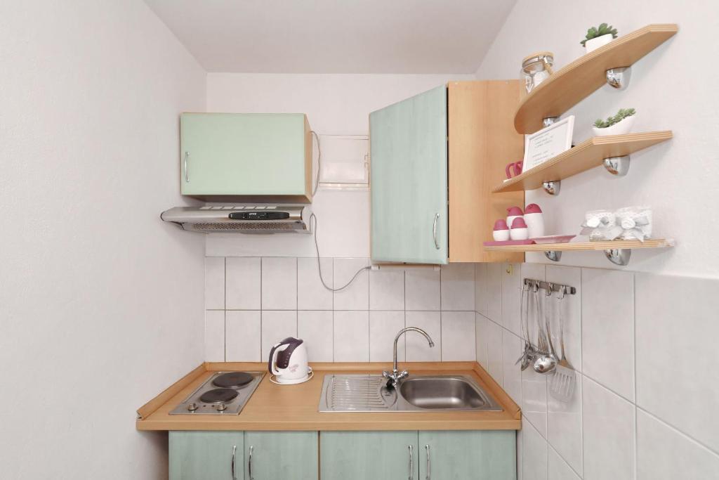 Kuchyňa alebo kuchynka v ubytovaní Apartment Bilberry