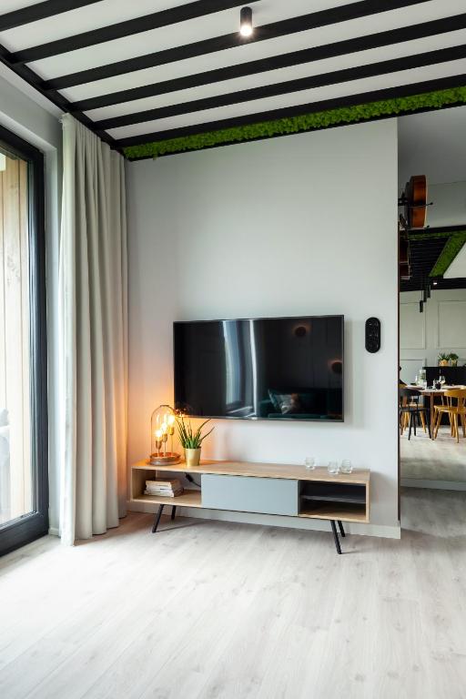 Televízia a/alebo spoločenská miestnosť v ubytovaní Flora Apartment Deluxe - Hav Aparts (Botanica)