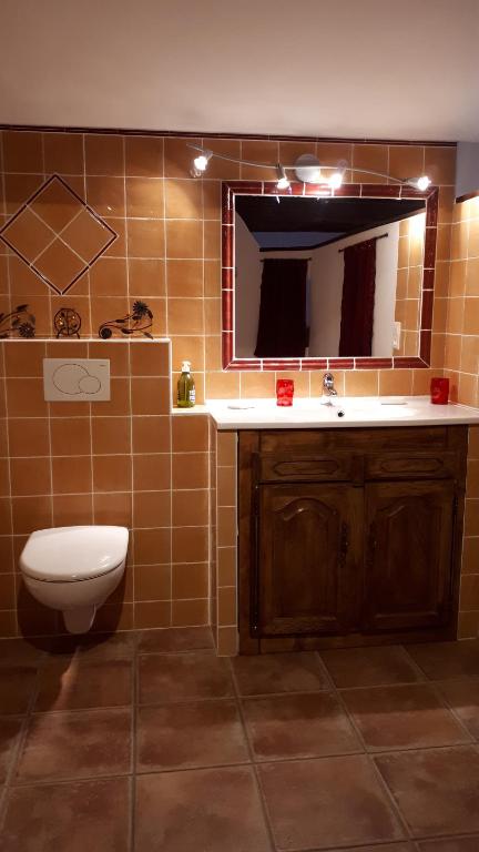 a bathroom with a toilet and a sink and a mirror at Campagne SAINT MAURINET in Montmeyan