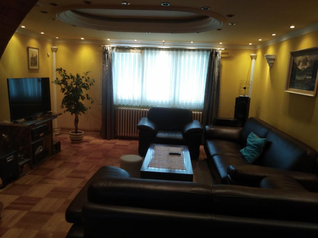 TV a/nebo společenská místnost v ubytování Ćane Rooms