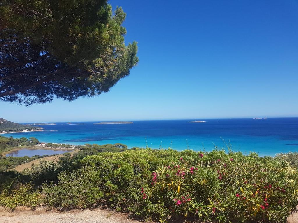 - une vue sur l'océan depuis le sommet d'une colline dans l'établissement Maison sur Palombaggia, à Porto-Vecchio