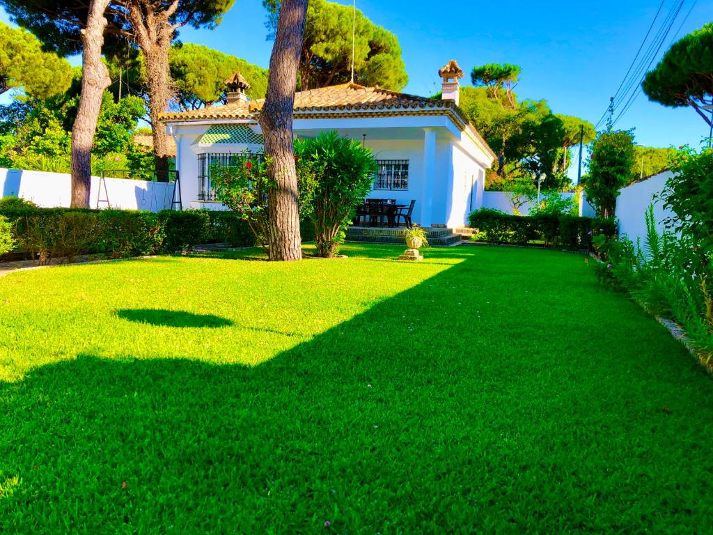 una casa blanca con un árbol en el patio en Barrosa Playa 5, en Chiclana de la Frontera