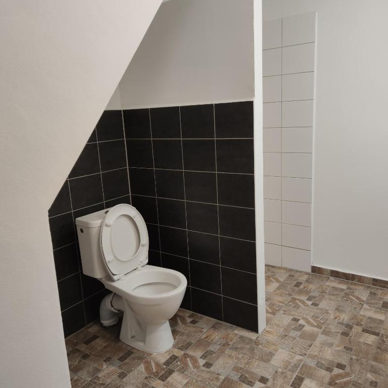 Koupelna v ubytování Apartmán Špacír