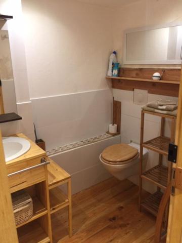 a bathroom with a toilet and a sink at Maison La Minoterie in Volonne