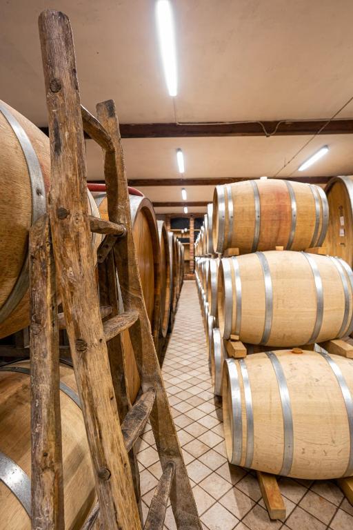 Fotografija v galeriji nastanitve Agriturismo Cascina Sciulun v mestu Monforte dʼAlba