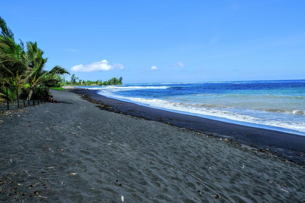 a beach with black sand and palm trees and the ocean at TAHITI - Taharuu Houses Surf & Beach in Papara