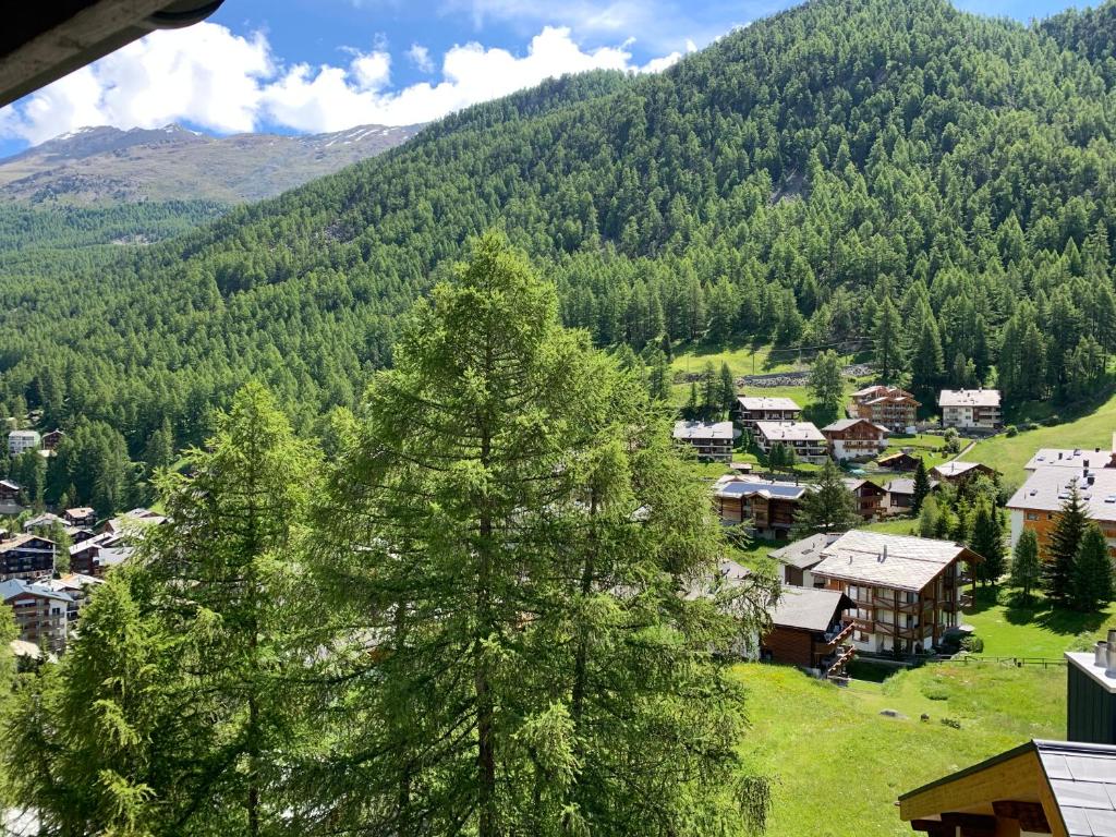 Příroda nedaleko apartmánu