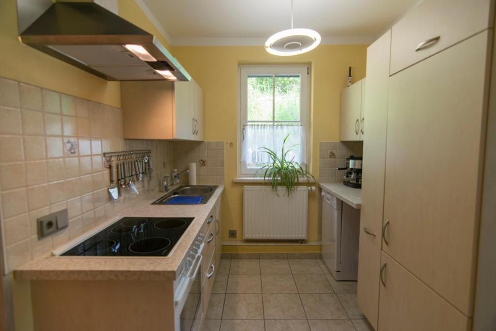Kuchyň nebo kuchyňský kout v ubytování Ferienhaus Stolz