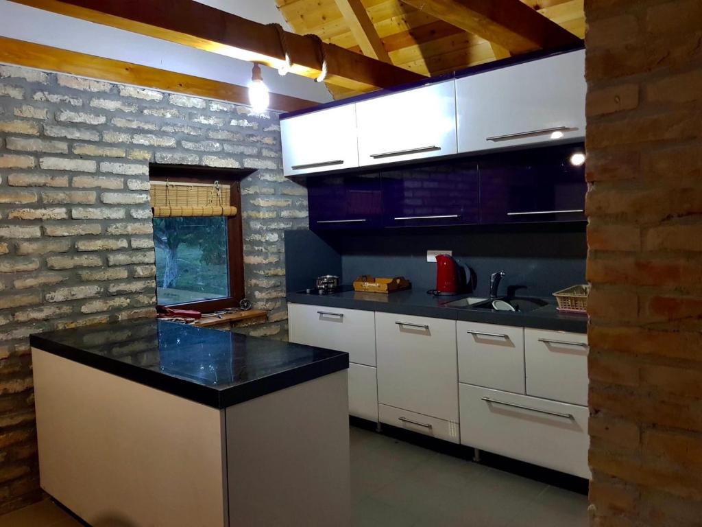 Kuchyň nebo kuchyňský kout v ubytování Vila Stancevic wellness