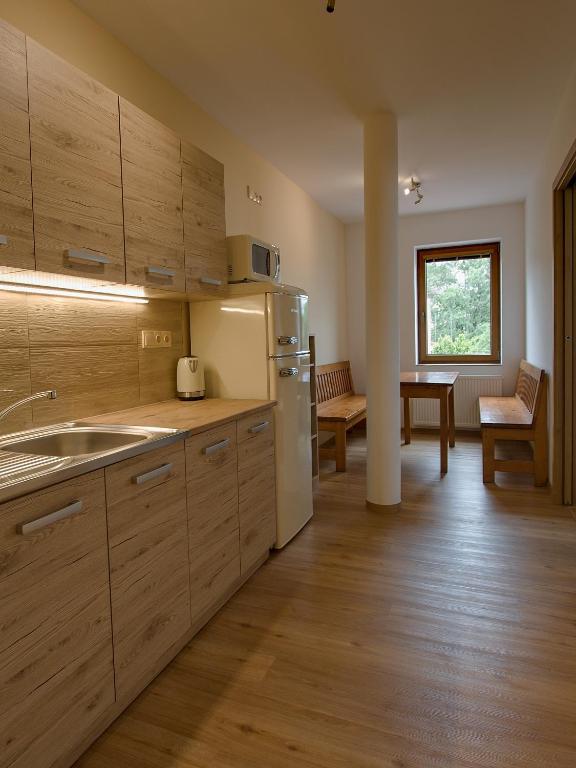 Kuchyň nebo kuchyňský kout v ubytování Apartmány Bejby Turnov