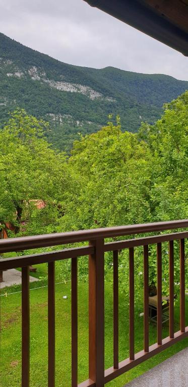 Príroda v okolí apartmánu