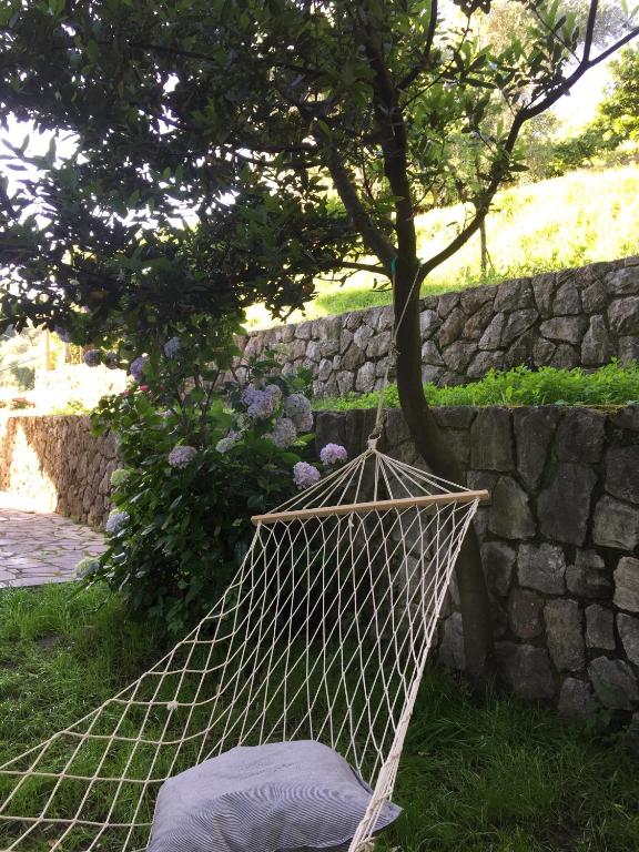 Zahrada ubytování Gli amici di Carla