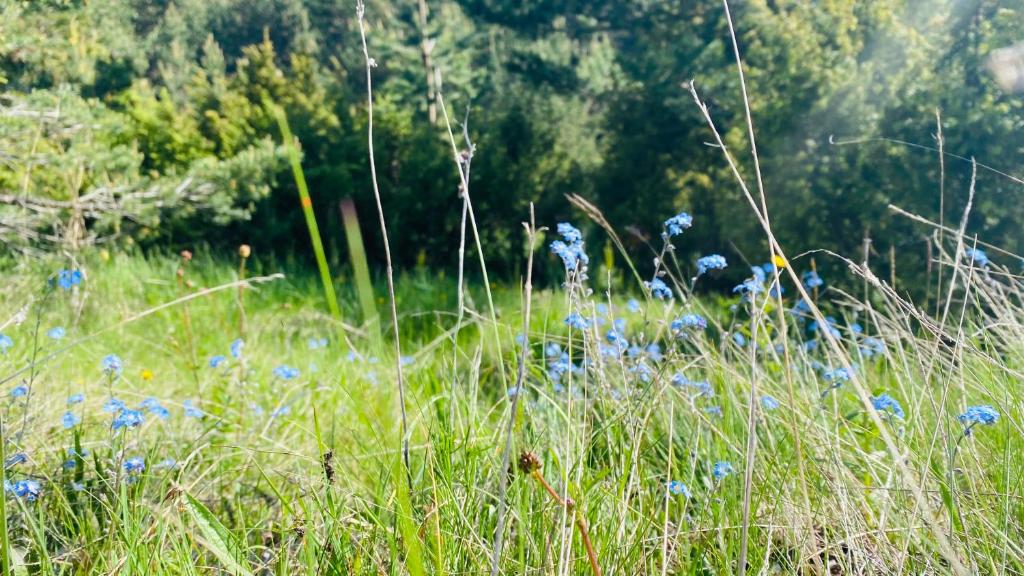 Eco Village Pavlovic - 19