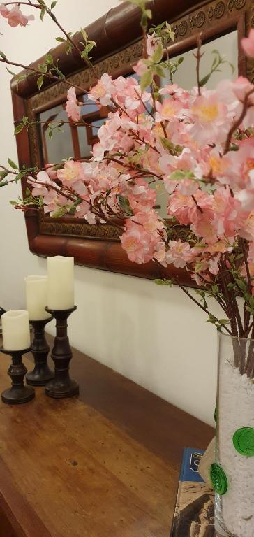  Casa dos Meninos B&B