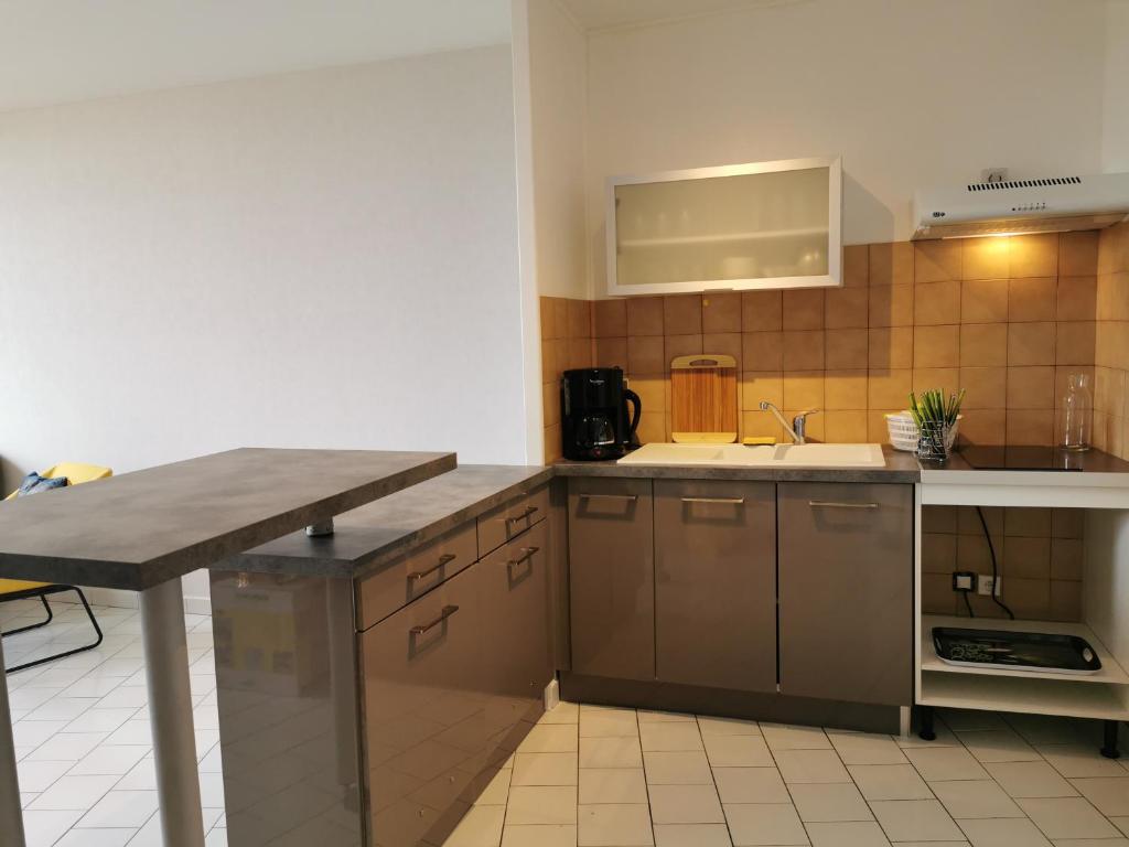a kitchen with a sink and a counter top at Appartement de charme, au cœur d&#39;Auch, 4 pers in Auch