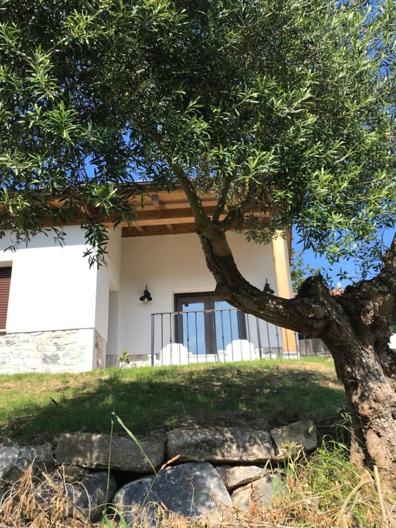 a tree in front of a house at LA CASINA DEL OLIVO in Ribadesella