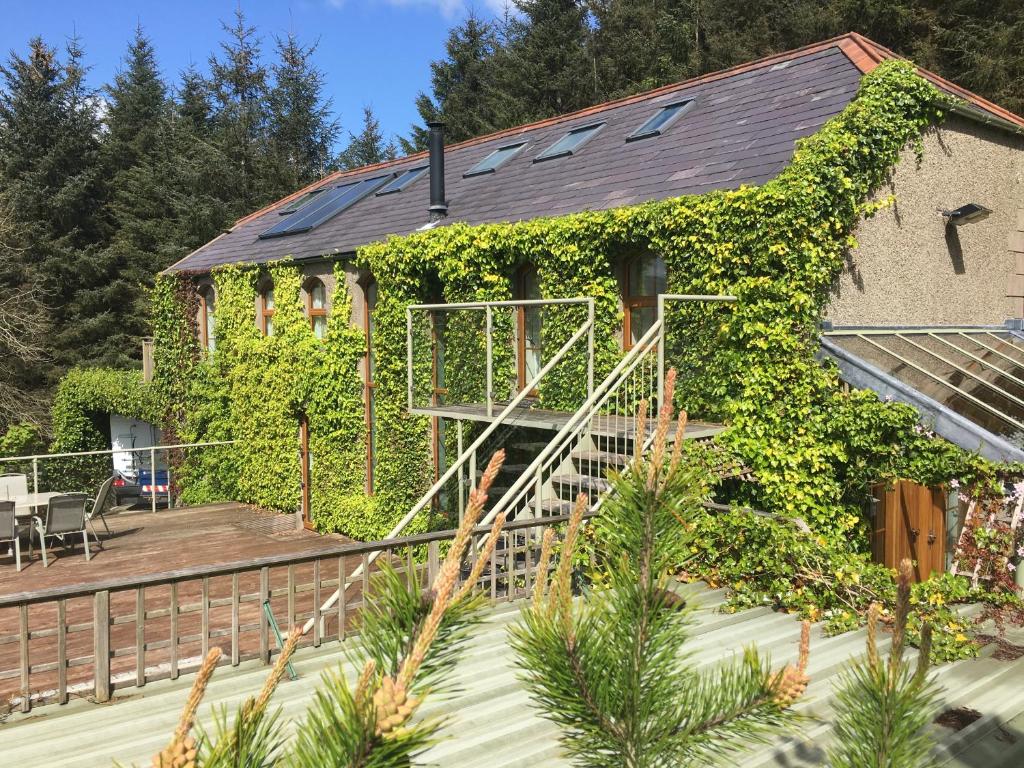 a house covered in ivy with a wooden deck at Crotlieve Barn in Rostrevor
