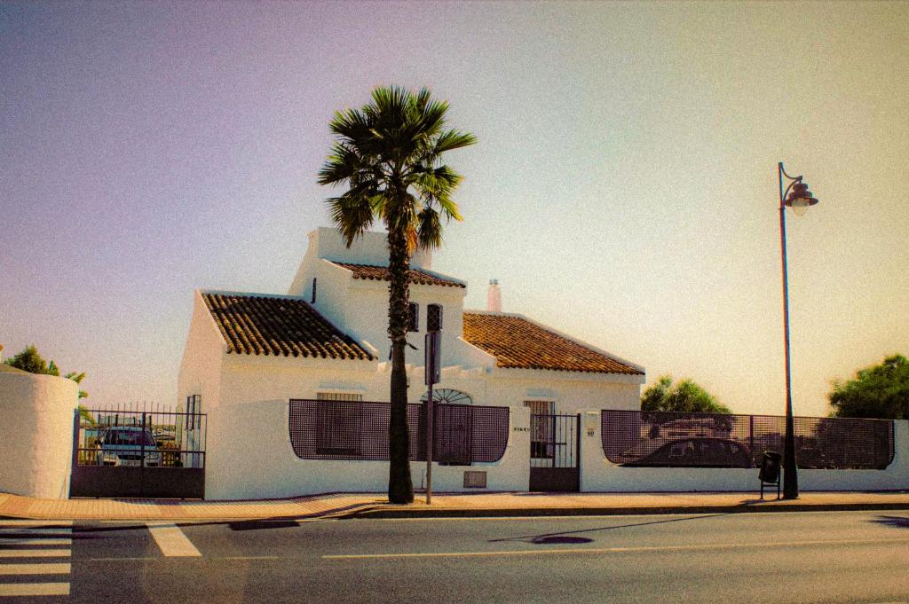 un bâtiment blanc avec un palmier en face dans l'établissement El carajo, à El Rompido