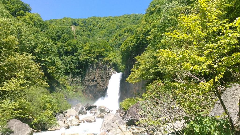 une cascade au milieu d'une forêt dans l'établissement ペンションヴォルケ, à Shinano