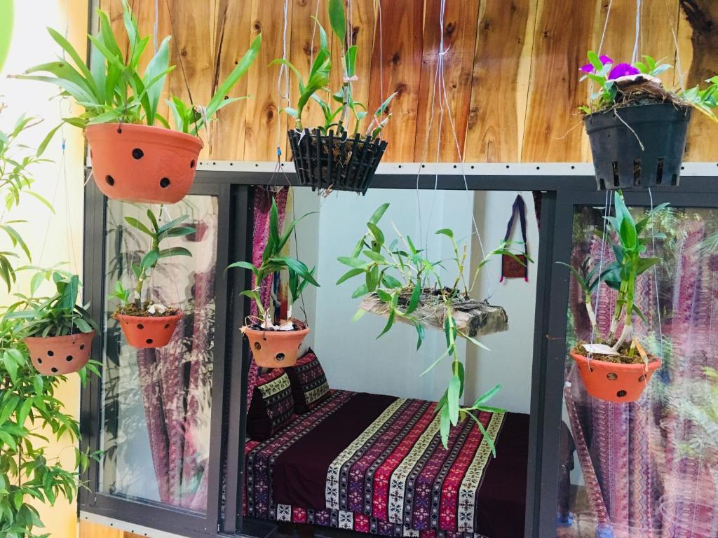 Elephant House - Đường Lâm Homestay