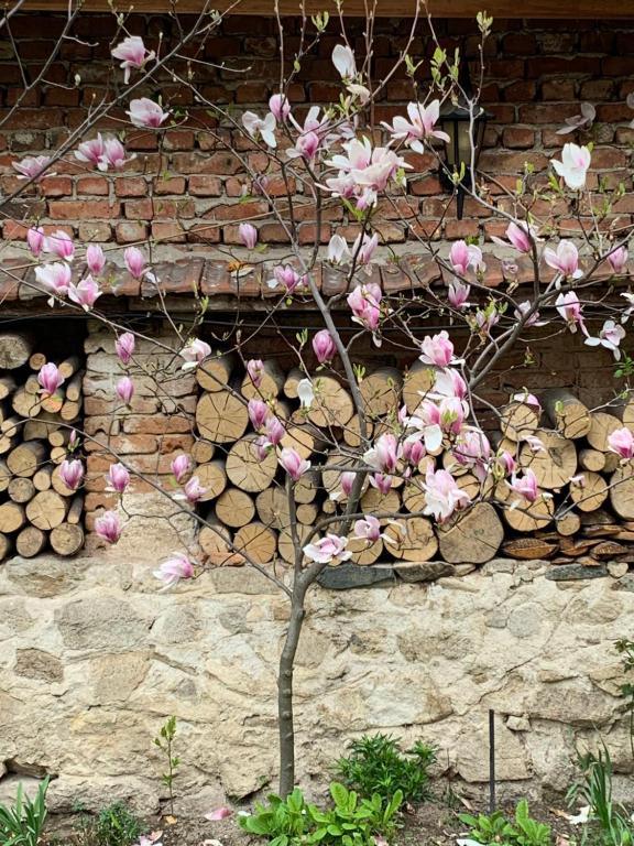 Fotografie z fotogalerie ubytování Borimechkova Kashta v destinaci Koprivštica