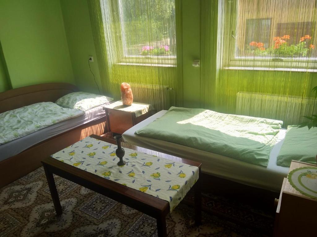 Postel nebo postele na pokoji v ubytování Tatry Liptov