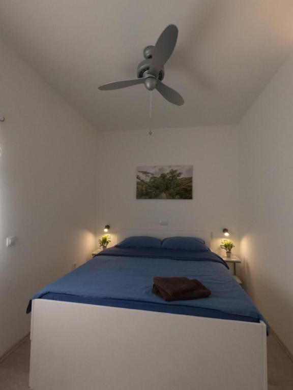 Fotografia z galérie ubytovania Apartments Medea vo Fažane