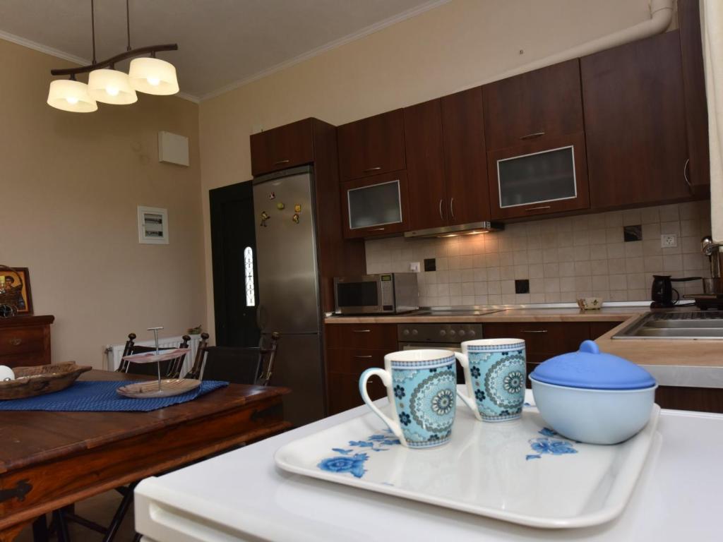Kuchnia lub aneks kuchenny w obiekcie Lia Sea View Home - Nea Potidea Halkidiki