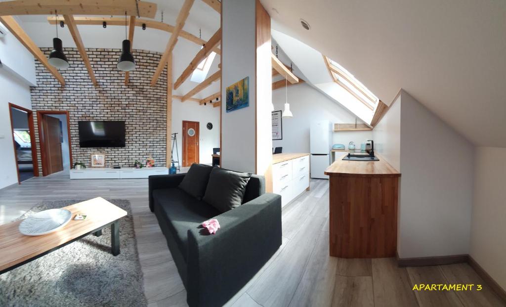 salon z kanapą i stołem oraz kuchnia w obiekcie Apartamenty Amalia w mieście Szary Dwor