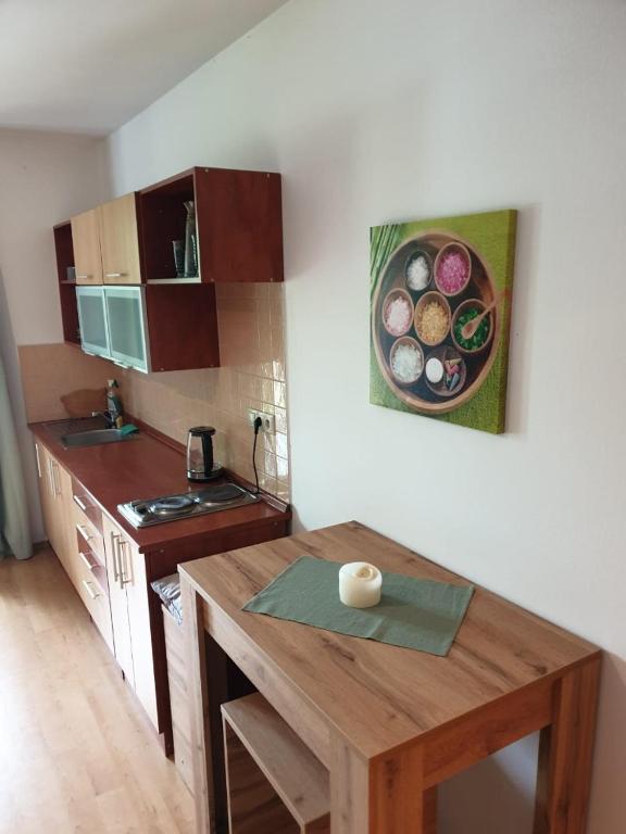 Kuchyň nebo kuchyňský kout v ubytování Apartmán Železná Ruda