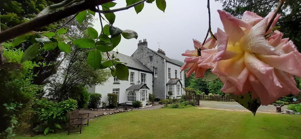 a house with a flower hanging from a tree at Score Valley Country House in Ilfracombe