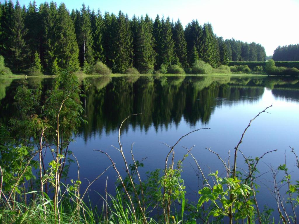 Příroda nedaleko penzionu – hostince