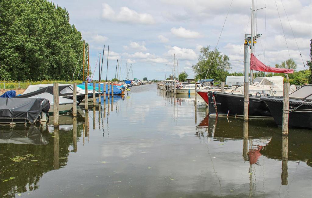 Výhled na řeku, která protéká v blízkosti kempu