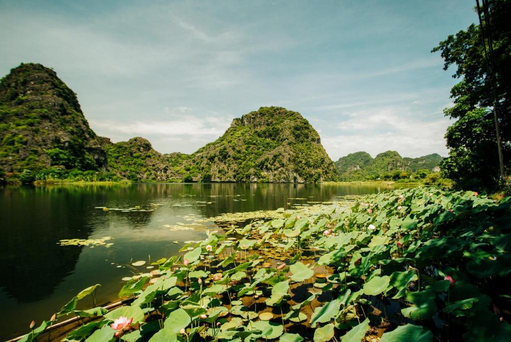 Zdjęcie z galerii obiektu Trang An Lotus Lake Homestay w mieście Ninh Binh