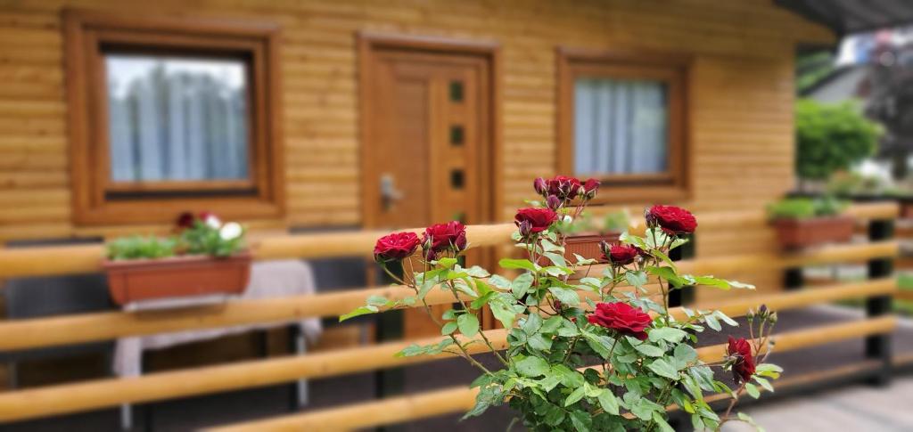 Zahrada ubytování Cuki Residence